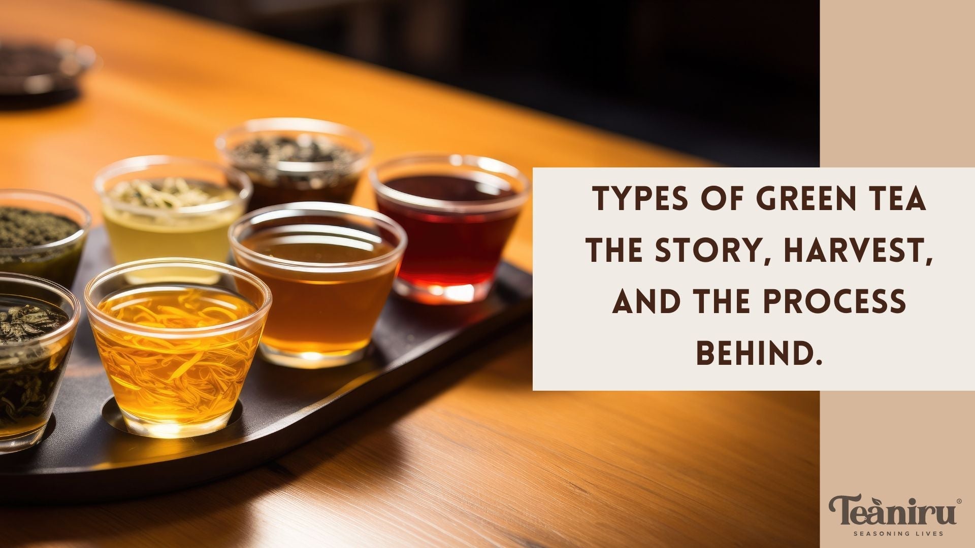 Types  of Green Tea -The Story, Harvest, and the Process Behind.